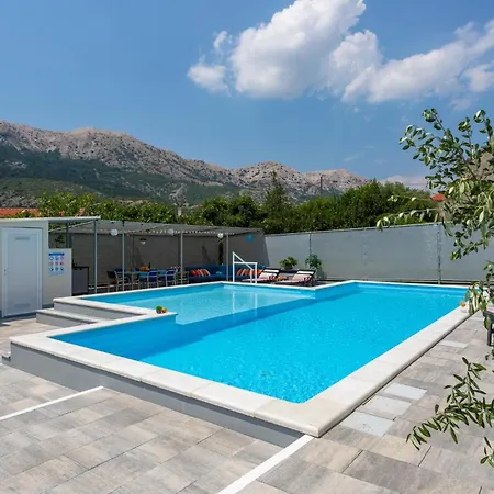 Pet Friendly In Apartman